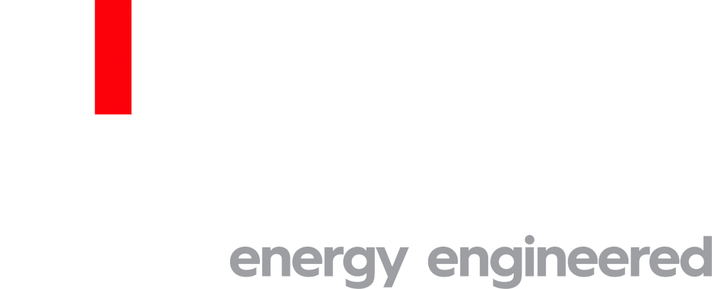 Footer Logo